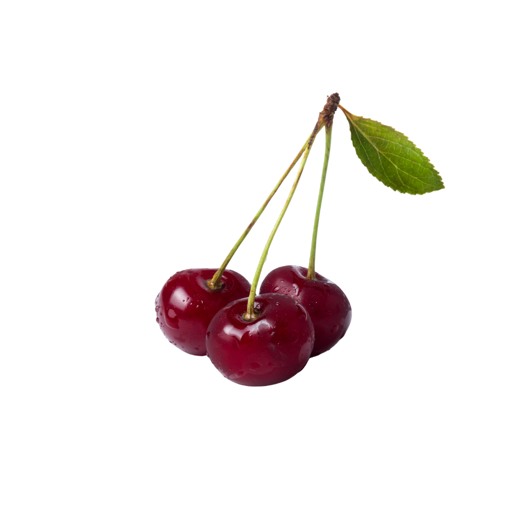 FRUTERÍA EN NAVARRA